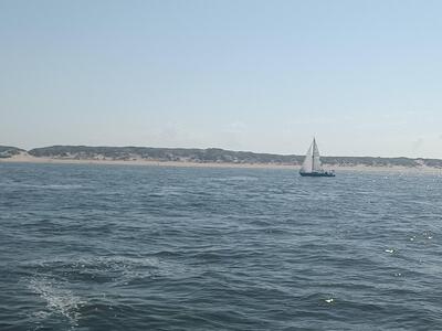 img-20240518-155154-197